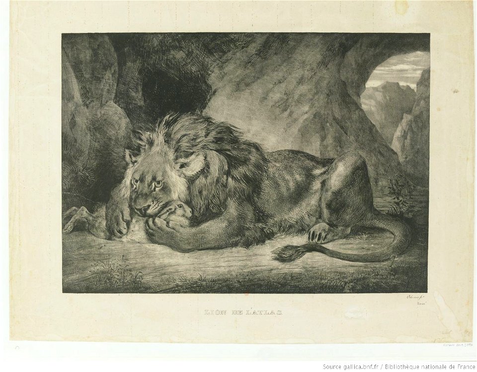 Delacroix - Lion de L'Atlas, btv1b10461692v