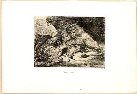Delacroix - Lion Devouring a Horse, 1965.165