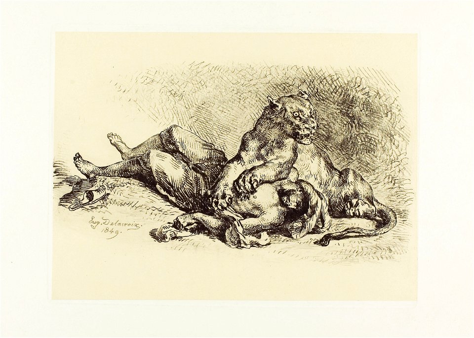 Delacroix - Lioness Tearing at the Chest of an Arab, 1985.401