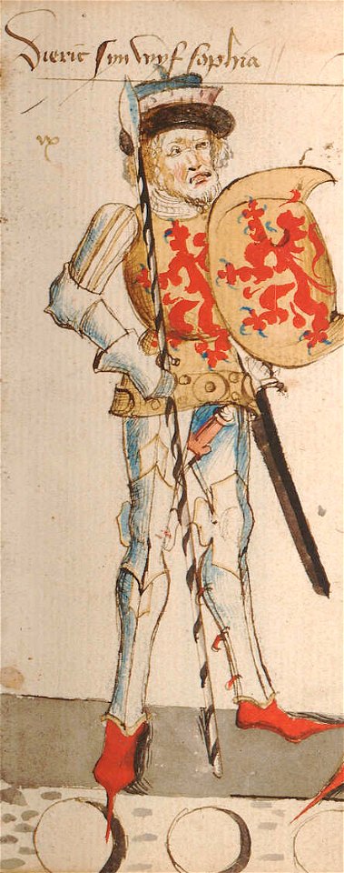 Dirk VI, Count of Holland, by Hendrik van Heessel