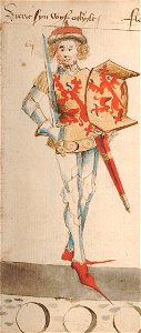 Dirk V, Count of Holland, by Hendrik van Heessel