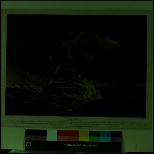 Distress Of the Centaur on the Night of the 16th of Septr, 1782 - passage from Jamaica - storm - foundered Twelve persons only escaping from the Wreck RMG PY9182