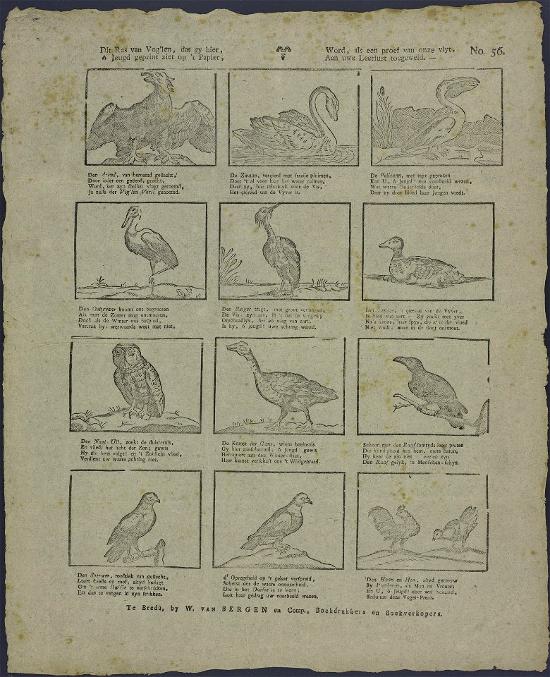 Dit ras van vog'len, dat gy hier-Catchpenny print-Borms 0352