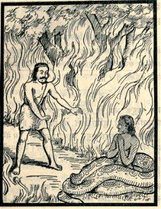 Divine snake cursing Nala