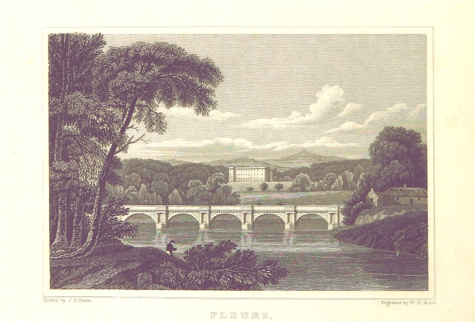 MA(1829) p.340 - Fleurs - John Preston Neale