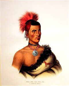 1833 Catlin Pes Ke Le Cha Co, Pawnee Chief anagoria. Free illustration for personal and commercial use.