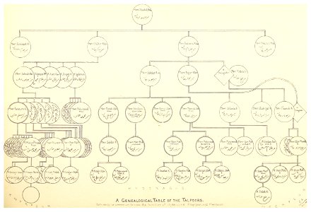 ORIENTAL HEADS p111 Genealogical Table of the Talpoors. Leading families of Hyderabad, Khyrpoor and Meerpoor