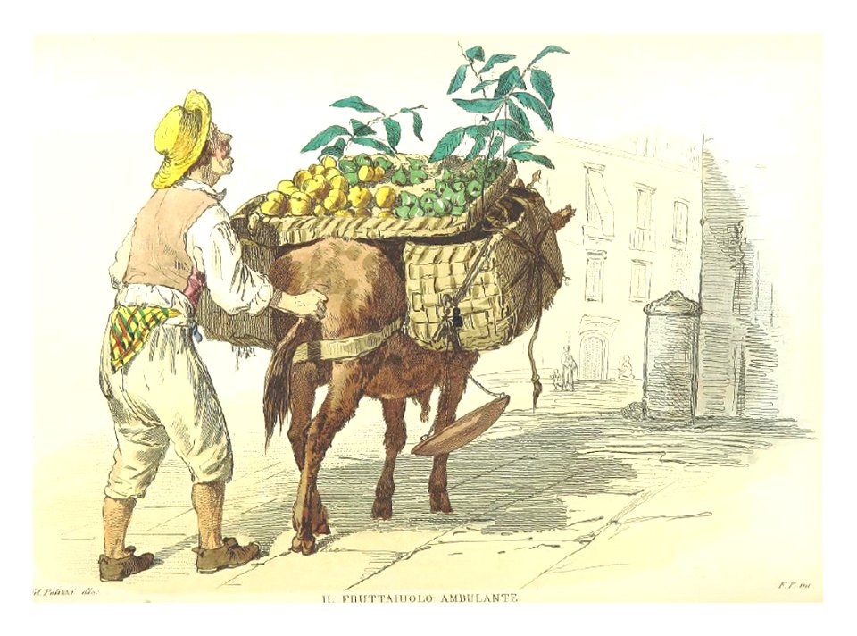 BOURCARD(1853) p1.238 - IL FRUTTAIUOLO AMBULANTE