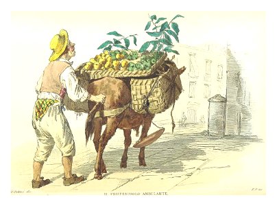 BOURCARD(1853) p1.238 - IL FRUTTAIUOLO AMBULANTE