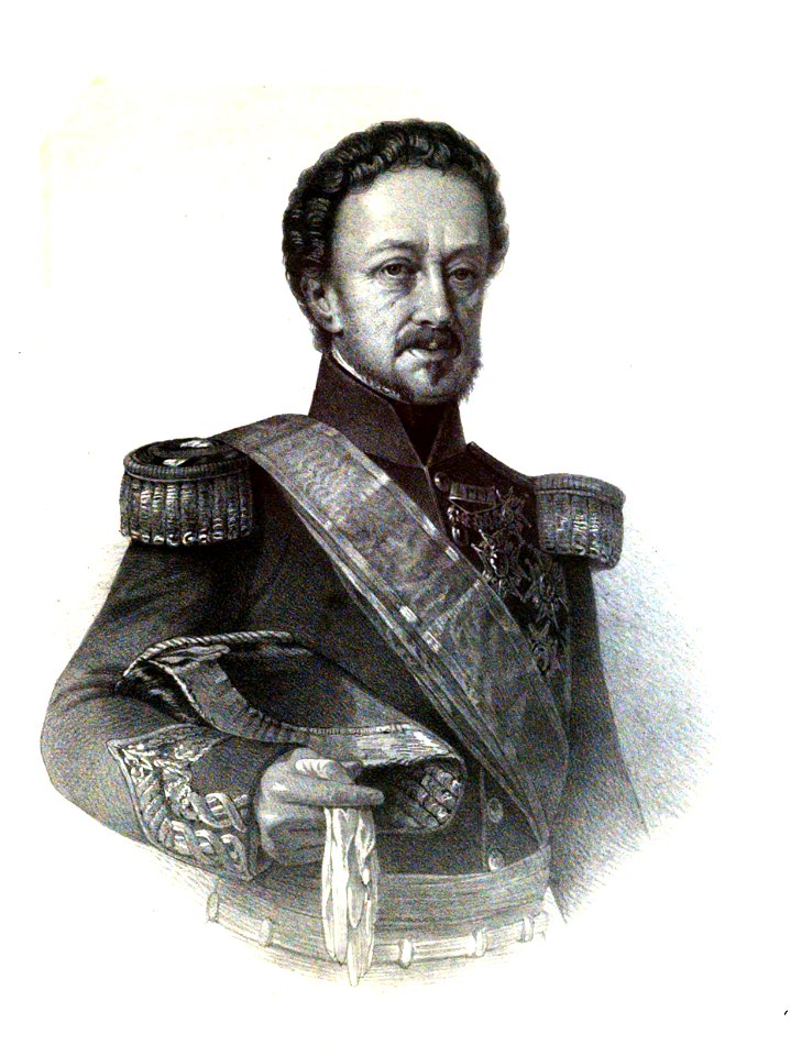 1853-1860, Blasón de España, libro de oro de su nobleza, parte primera, casa real y Grandeza de España, Pedro Téllez Girón (cropped)