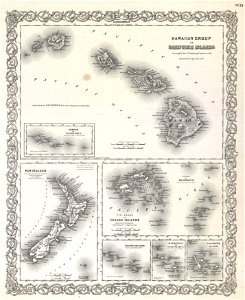 1855 Colton Map of Hawaii and New Zealand - Geographicus - Hawaii-colton-1855