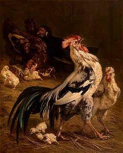 Charles Verlat - The king of the hen house