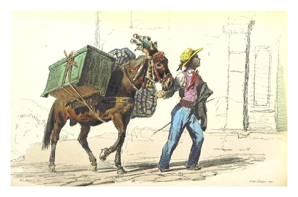 BOURCARD(1858) p2.180 - IL MULO DI MASSA