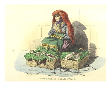 BOURCARD(1858) p2.398 - CONTADINA DELLE PALUDI
