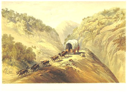 Lucas1861, pg089 WAGGON ROAD IN THE ECCA VALLEY