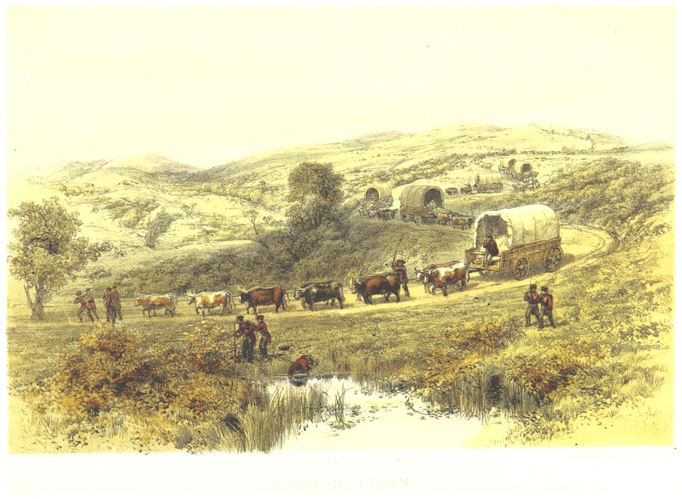Lucas1861, pg073 WAGGON TRAIN