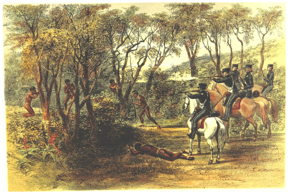 Lucas1861, pg119 FIGHTING IN THE BUSH