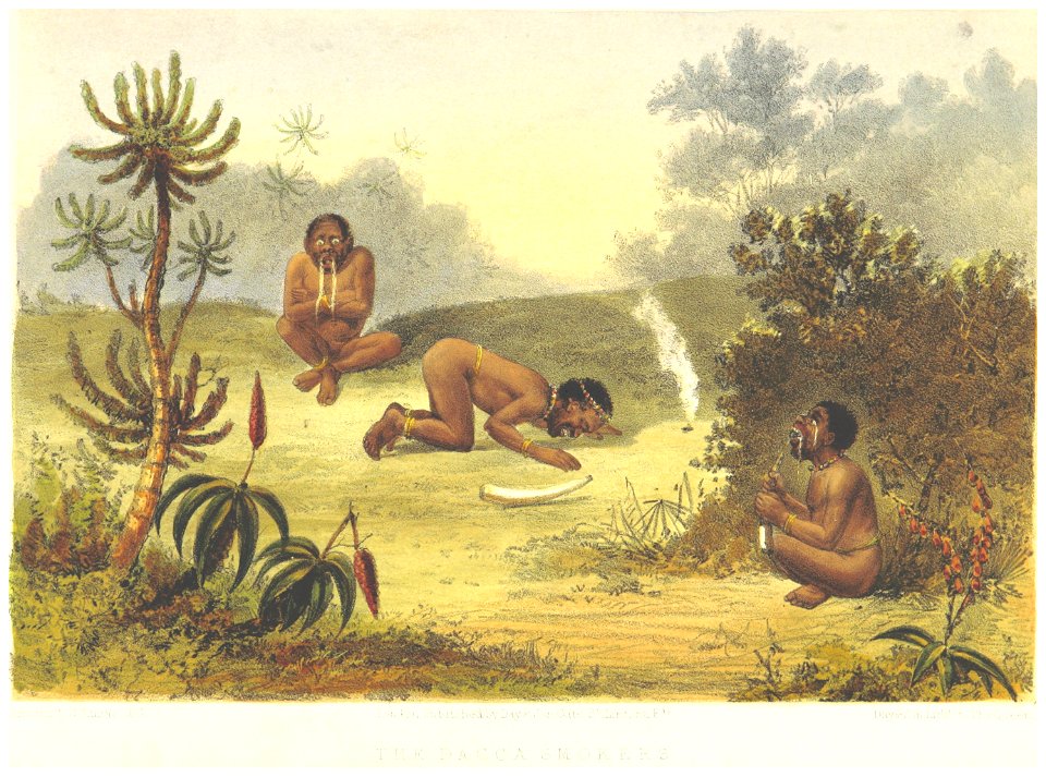 Lucas1861, pg033 THE DACCA SMOKERS