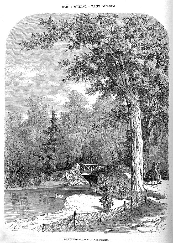 1862-05-04, El Museo Universal, Madrid moderno, jardín botánico, Ruiz