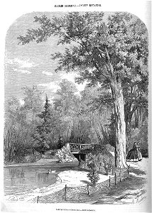 1862-05-04, El Museo Universal, Madrid moderno, jardín botánico, Ruiz