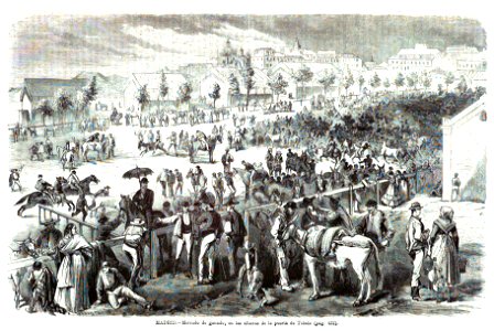 1872-07-16, La Ilustración Española y Americana, Madrid, Mercado de ganado, en las afueras de la puerta de Toledo