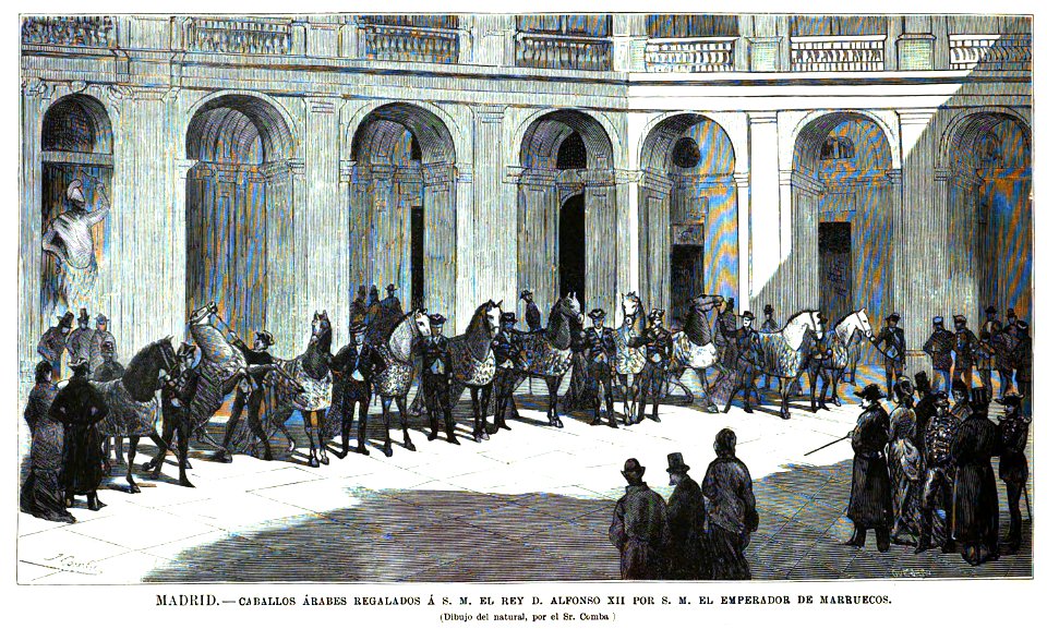 1877-11-30, La Ilustración Española y Americana, Madrid, Caballos árabes regalados a S. M. el rey D. Alfonso XII por S. M. el emperador de Marruecos