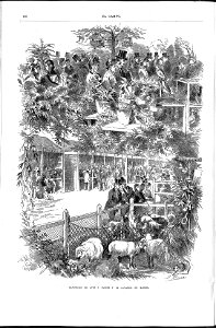 1879-06-01, El Campo, Agricultura, Jardinería y Sport, Exposición de aves y flores y de ganados, de Madrid