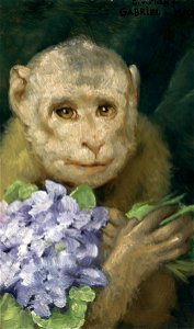 Max Monkey with violets