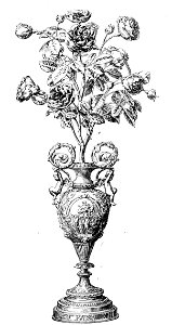 1886 Rosa de Oro María Cristina