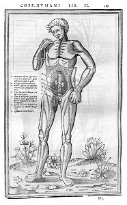 189 Charles Estienne 1545