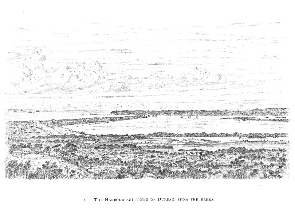 DURBAN (1891)023 The Harbour and Town of Durban, from Berea