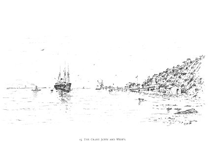 DURBAN (1891)075 The crane jetty and West's