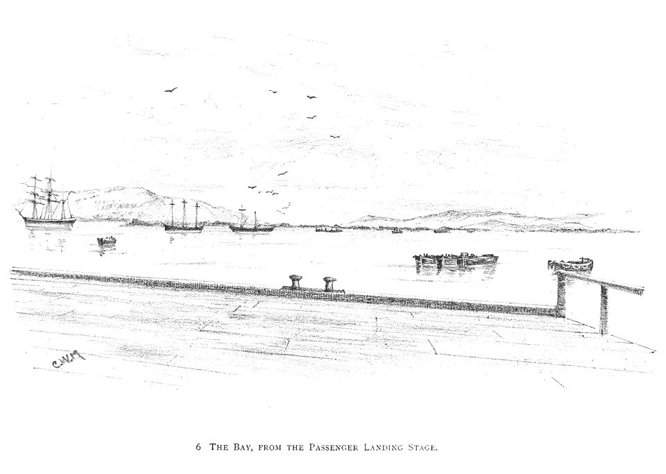 DURBAN (1891)041 The Bay, from the passenger landing stage