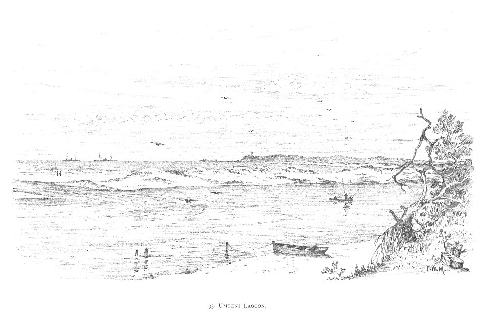 DURBAN (1891)137 Umgeni Lagoon