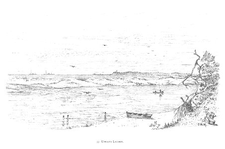 DURBAN (1891)137 Umgeni Lagoon