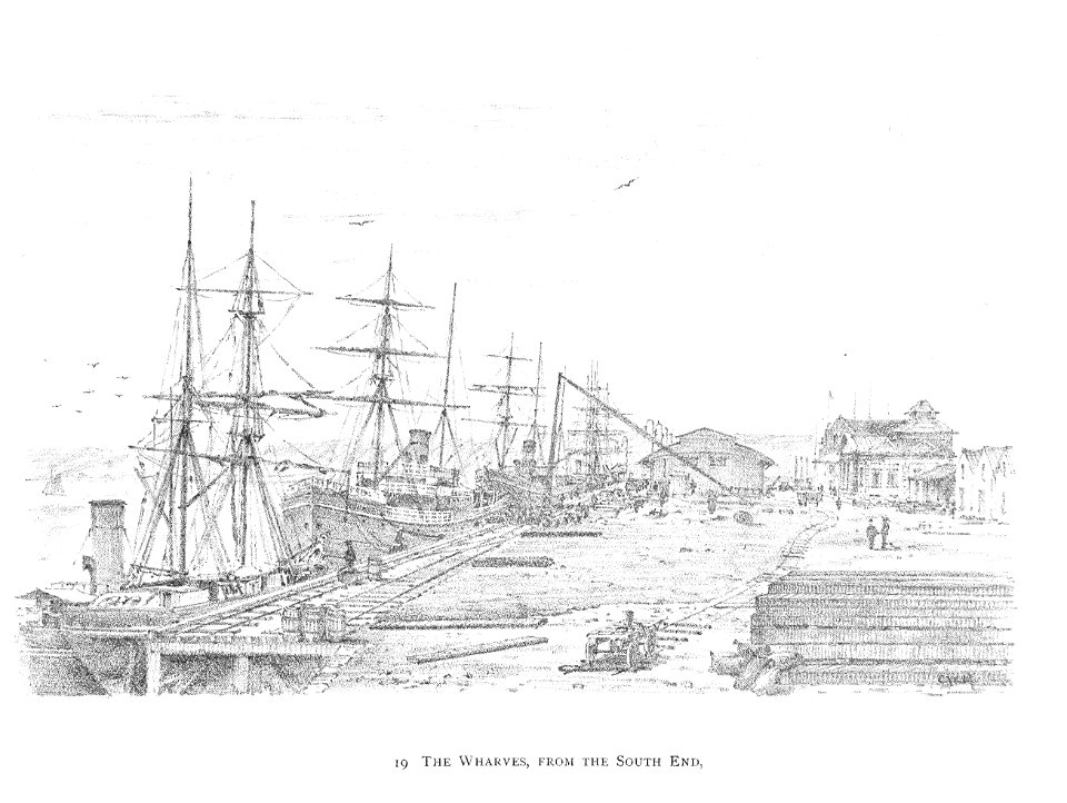 DURBAN (1891)087 The Warves, from the South End