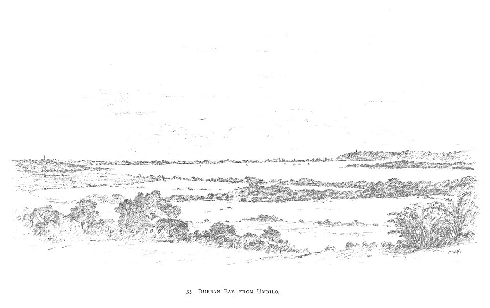 DURBAN (1891)145 Durban Bay, from Umbilo