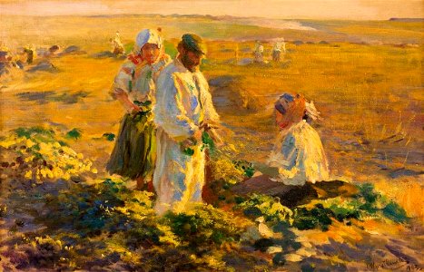 Leon Wyczółkowski - Kopanie buraków
