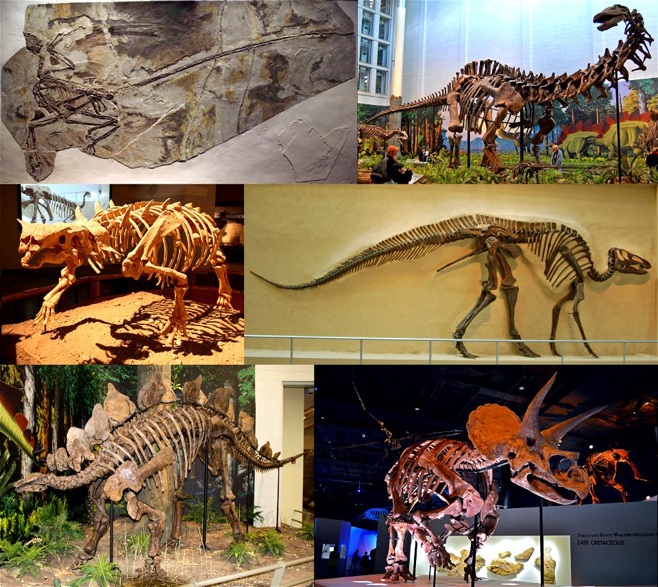 Dinosauria montage 2