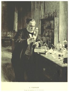 MECHELIN(1894) p417 L. Pasteur