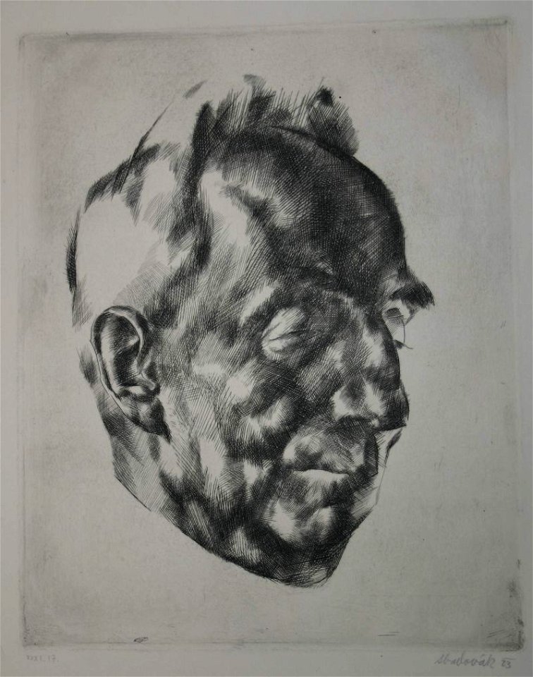 Aba-Novák Male Head 1923