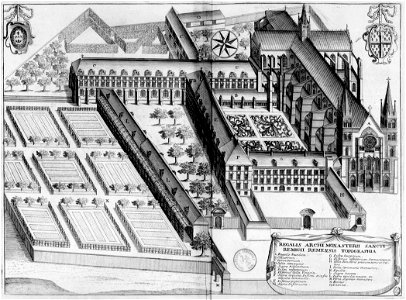Abbaye Saint-Remi de Reims dans Monasticon Gallicanum