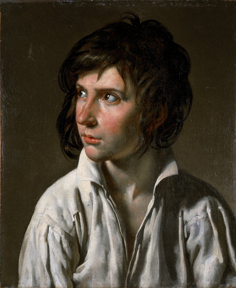 Anne-Louis Girodet de Roussy-Trioson - Portrait d'une jeunesseFXD