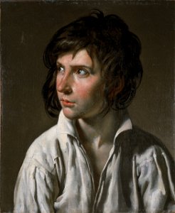 Anne-Louis Girodet de Roussy-Trioson - Portrait d'une jeunesseFXD