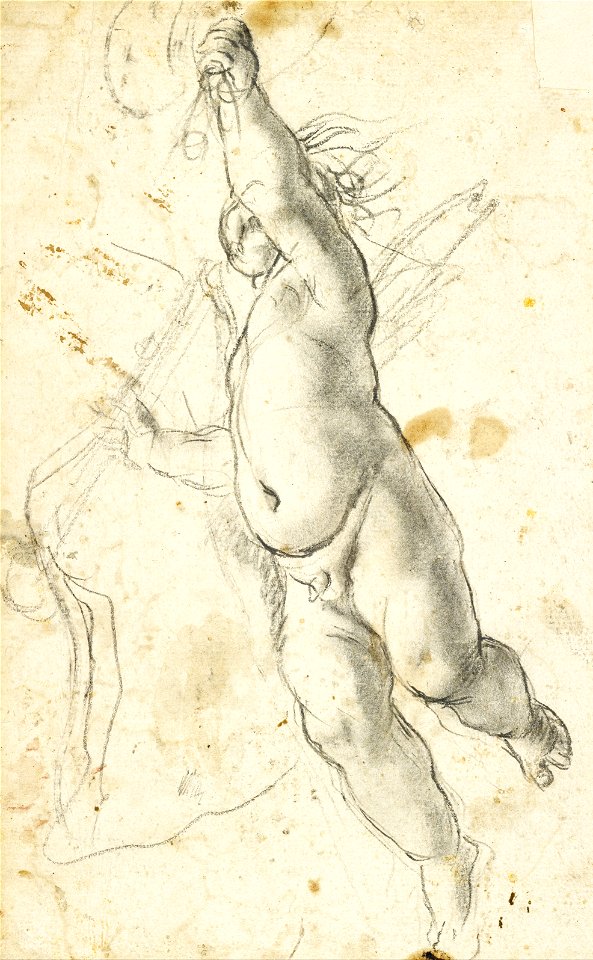 Annibale Carracci - Flying Putto - Google Art Project