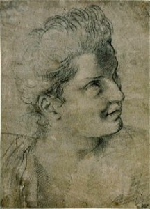 Annibale Carracci - Tête de femme