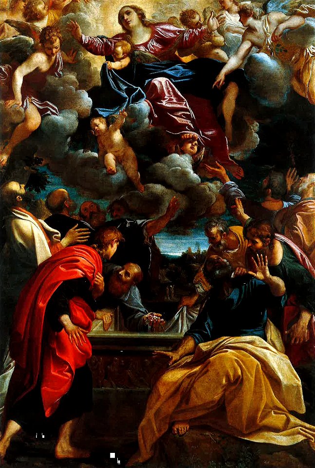 Annibale Carracci, Assunzione Bonasoni, Pinacoteca di Bologna