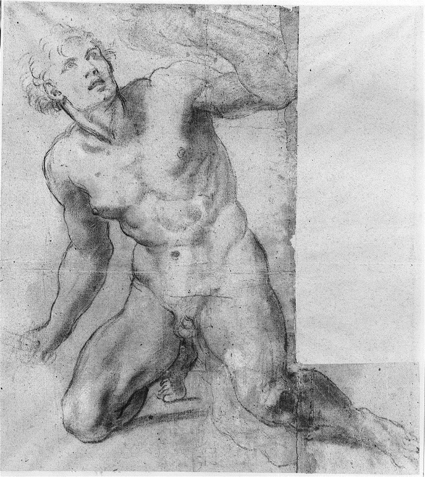 Annibale Carracci, Study for Phineas - Farnese Gallery