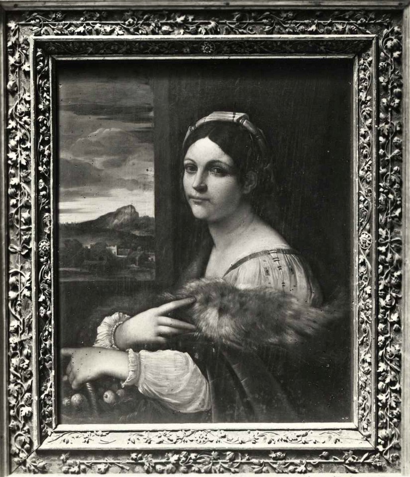 Anonimo sec. XVI - Ritratto femminile, Museo di Castelvecchio