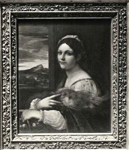 Anonimo sec. XVI - Ritratto femminile, Museo di Castelvecchio